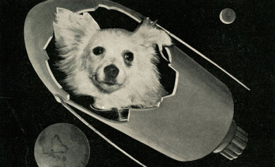 მოხვდება თუ არა ძაღლი მარსზე საქართველოდან - NASA და SpaceX კოსმოსური მისიისთვის ცხოველებს შეარჩევენ